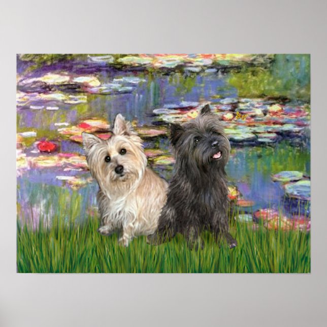 Cairn Terriers (two) - Llilies 2 Poster (Front)