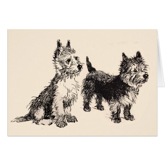 Cairn Terriers Vintage Pen & Ink (Front Horizontal)
