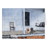 Cairn Terriers Wait Outside of Shop