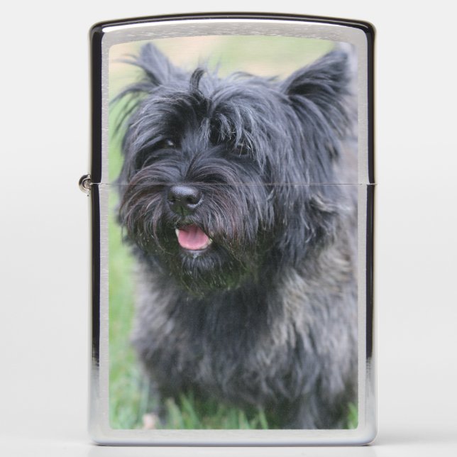 Cairn  zippo lighter (Front)