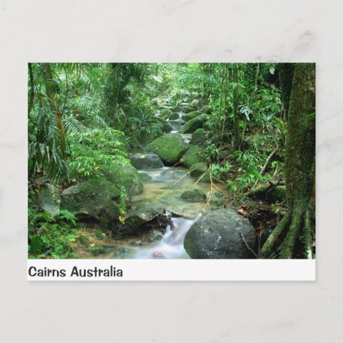 Cairns Forest Creek Queensland Australia Post Card