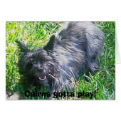 Cairns gotta play! (Front Horizontal)