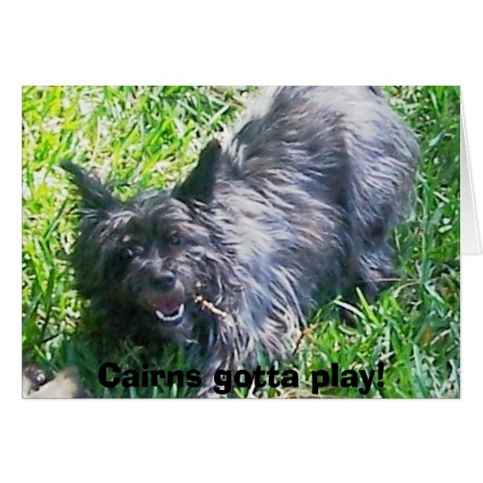 Cairns gotta play! cards (Front Horizontal)