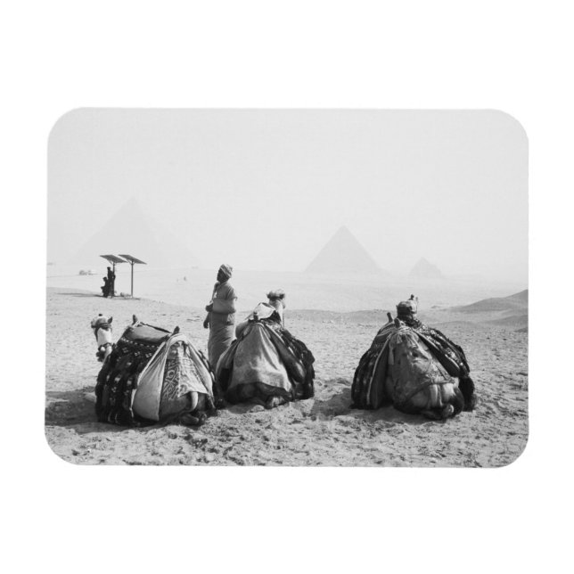 Cairo Egypt, Camel Jockeys Giza Pyramids (NR) Magnet (Horizontal)