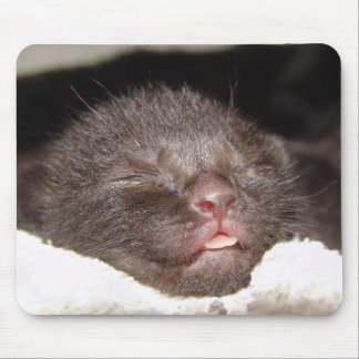 Cairo Sleeping Mousepad