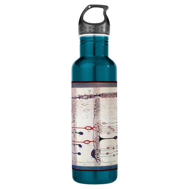 Cajal Water Bottle (Front)