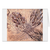 Cajal's Neurons 1 (Front Horizontal)