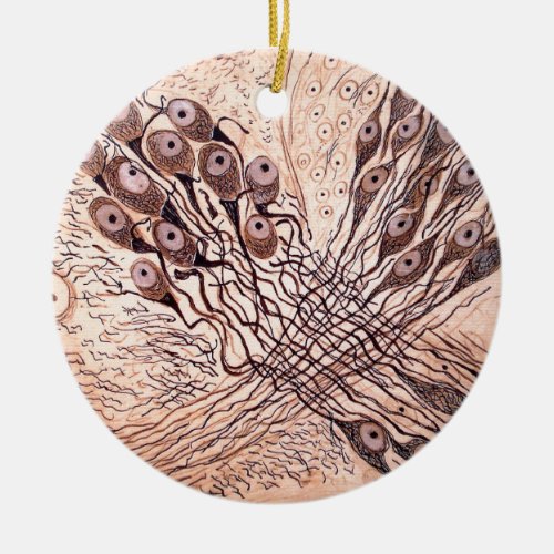 Cajals Neurons 1 Ceramic Ornament