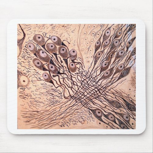 Cajals Neurons 1 Mouse Pad