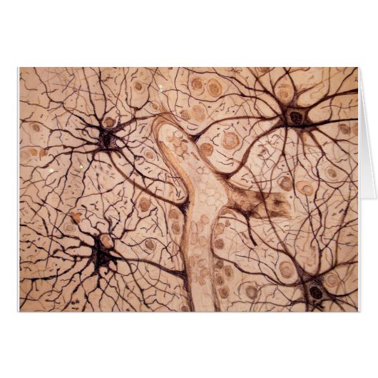 Cajal's Neurons 3 Cards (Front Horizontal)