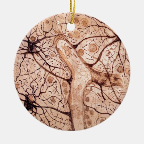 Cajals Neurons 3 Ceramic Ornament