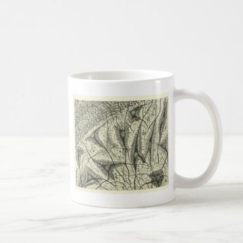 Cajals Neurons 4 Coffee Mug