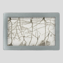 Cajal's Neurons 8 Belt Buckle