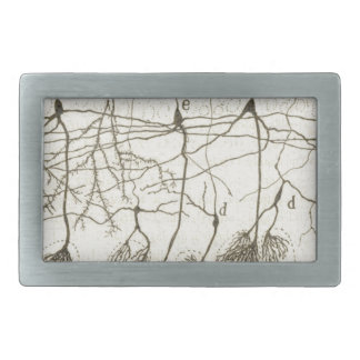 Cajal's Neurons 8 Belt Buckle
