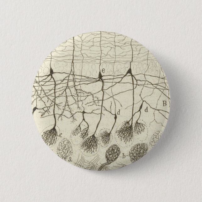 Cajal's Neurons 8 Button (Front)