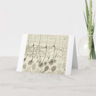 Cajal's Neurons 8 Card