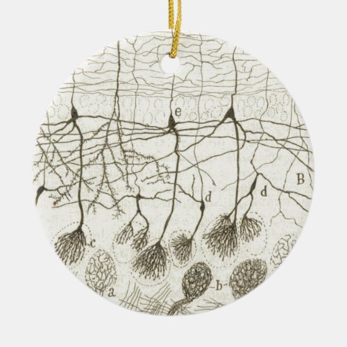 Cajals Neurons 8 Ceramic Ornament