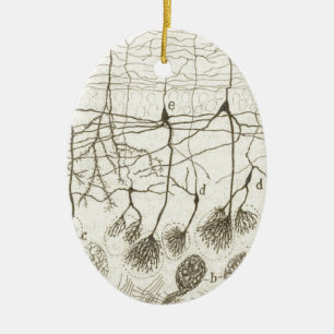Cajal's Neurons 8 Ceramic Ornament