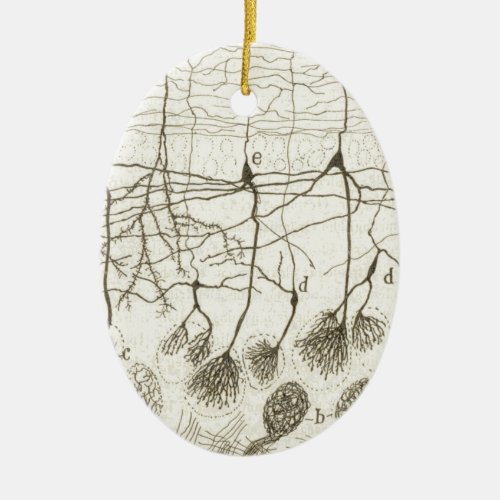 Cajals Neurons 8 Ceramic Ornament