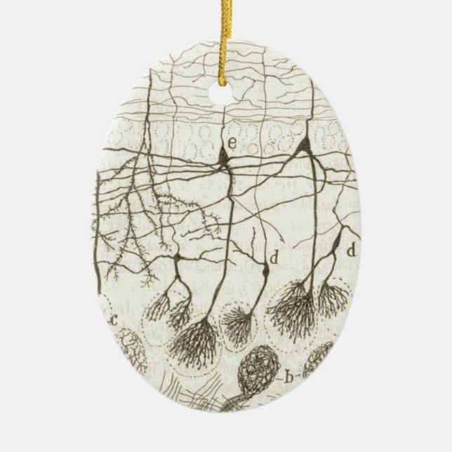 Cajal's Neurons 8 Ceramic Ornament (Front)