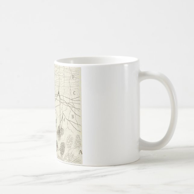 Cajal's Neurons 8 Coffee Mug (Right)