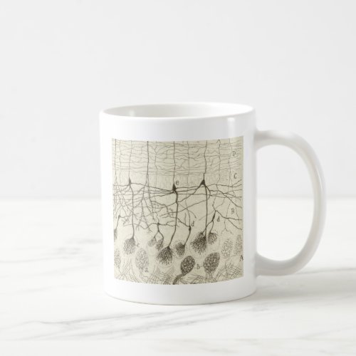 Cajals Neurons 8 Coffee Mug