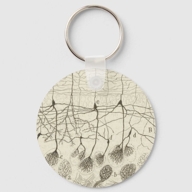 Cajal's Neurons 8 Keychain (Front)