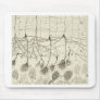 Cajal's Neurons 8 Mouse Pad
