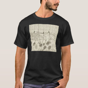 Cajal's Neurons 8 T-Shirt