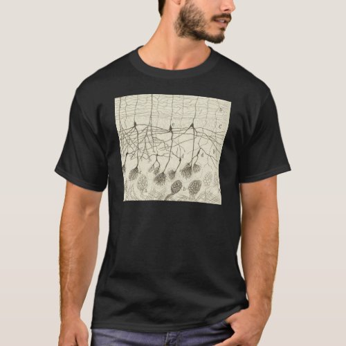Cajals Neurons 8 T_Shirt