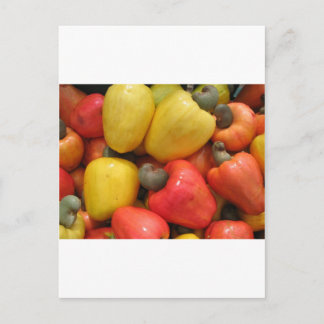 Caju, mãe natureza postcard