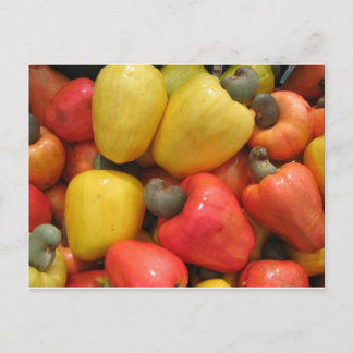 Caju, Mother Nature Postcard