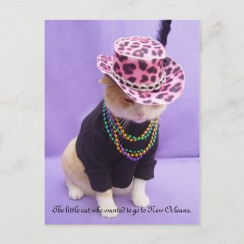 Cajun Bubba Kitty Postcard by myrtieshuman at Zazzle