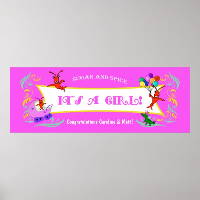 Cajun Critters Baby Girl Banner Poster (Front)