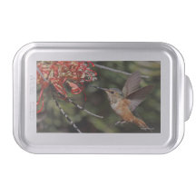 Cake pan featuring Hummingbird