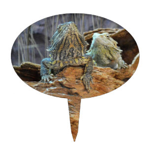 Cake pick Topper with two curious lizards