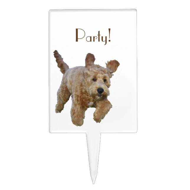 Cake Pick w/ golden doodle (Front)