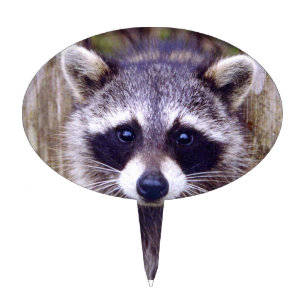 Cake Pick w/ raccoon