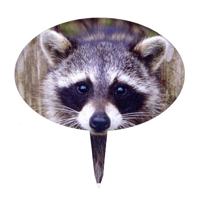 Cake Pick w/ raccoon (Front)