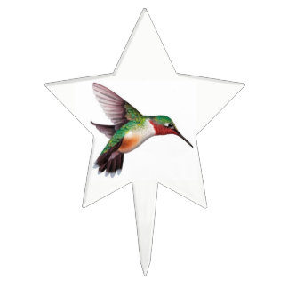 Cake Pick with a Hummingbird