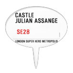 CASTLE  JULIAN ASSANGE    Cake Picks