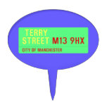  terry Street  Cake Picks