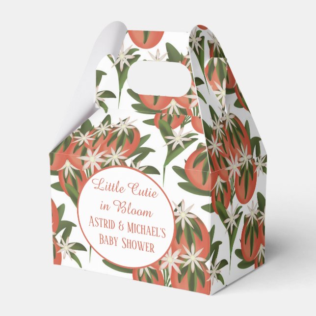 Cake Pop Favor Boxes (Front Side)