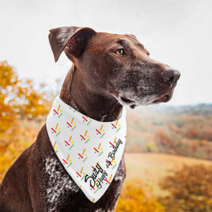 Cake Sprinkles Birthday Name Pet Bandana