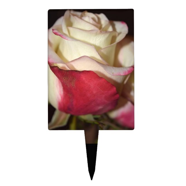 cake topper (Front)