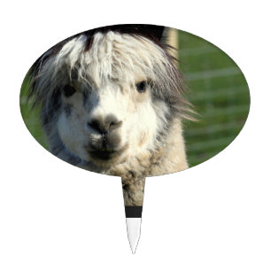 Cake Topper - Customized