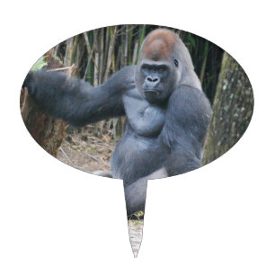 Cake Topper - Customized