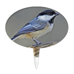 Cake Topper - Customized