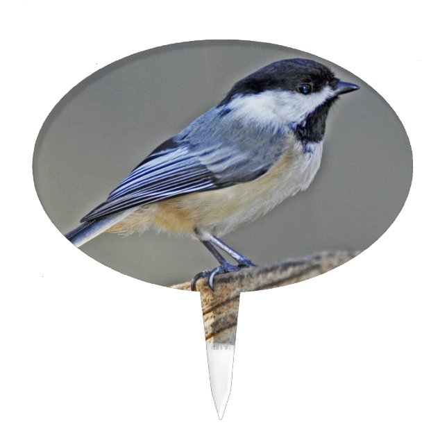 Cake Topper - Customized (Front)