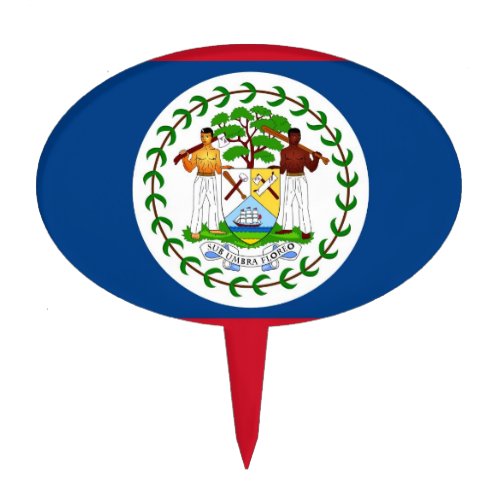 Cake Topper with Flag of Belize